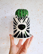 Load image into Gallery viewer, Zebra Planter holding a green cactus, handmade stoneware pot with drainage and saucer.