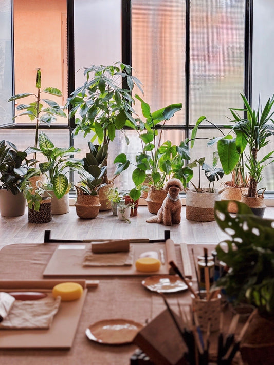 A studio featuring a big window with plants and a cute poodle standing in the front, with a table set up for a pottery workshop