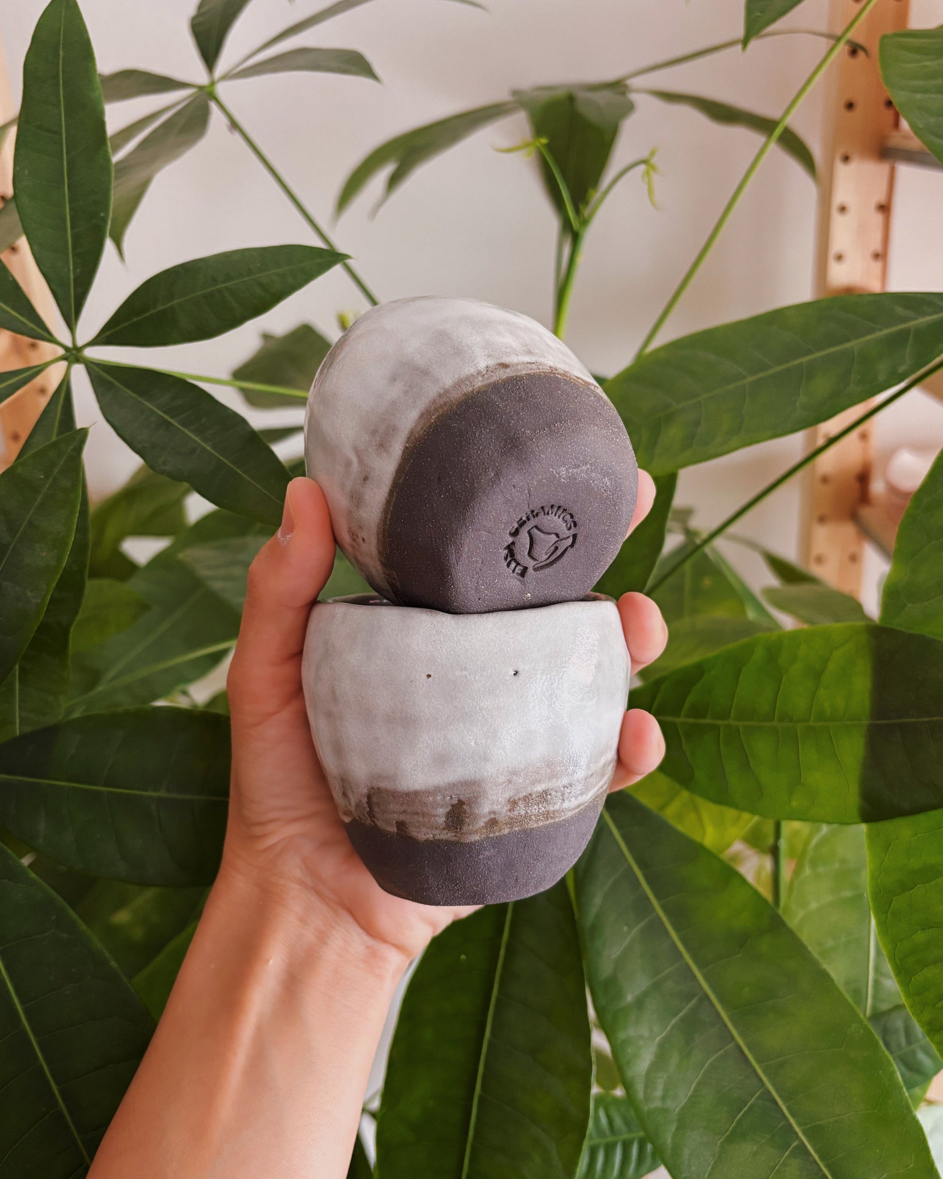 Hand holding two small ceramic pots with a plant in the background