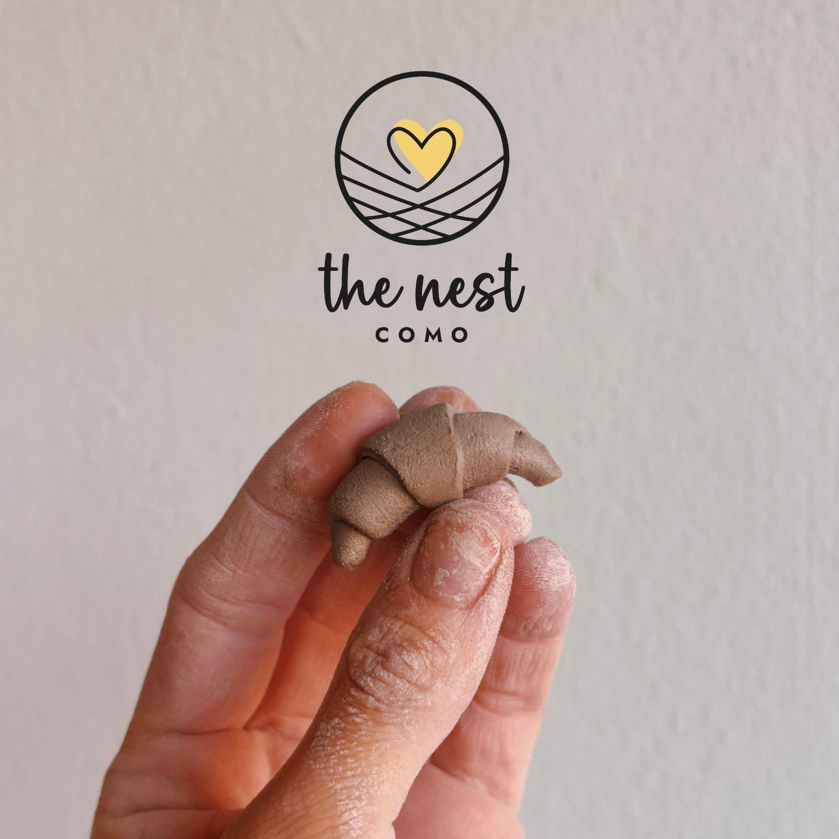 Hand holding a small object with 'the nest como' logo above on a light background
