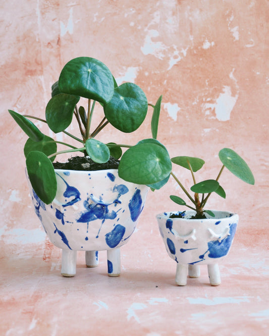 White and Blue Feet Planter - Large with plants growing in a stylish, handmade stoneware design.