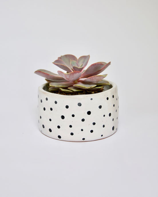 Elisa Ceramics Black Polkadots Planter