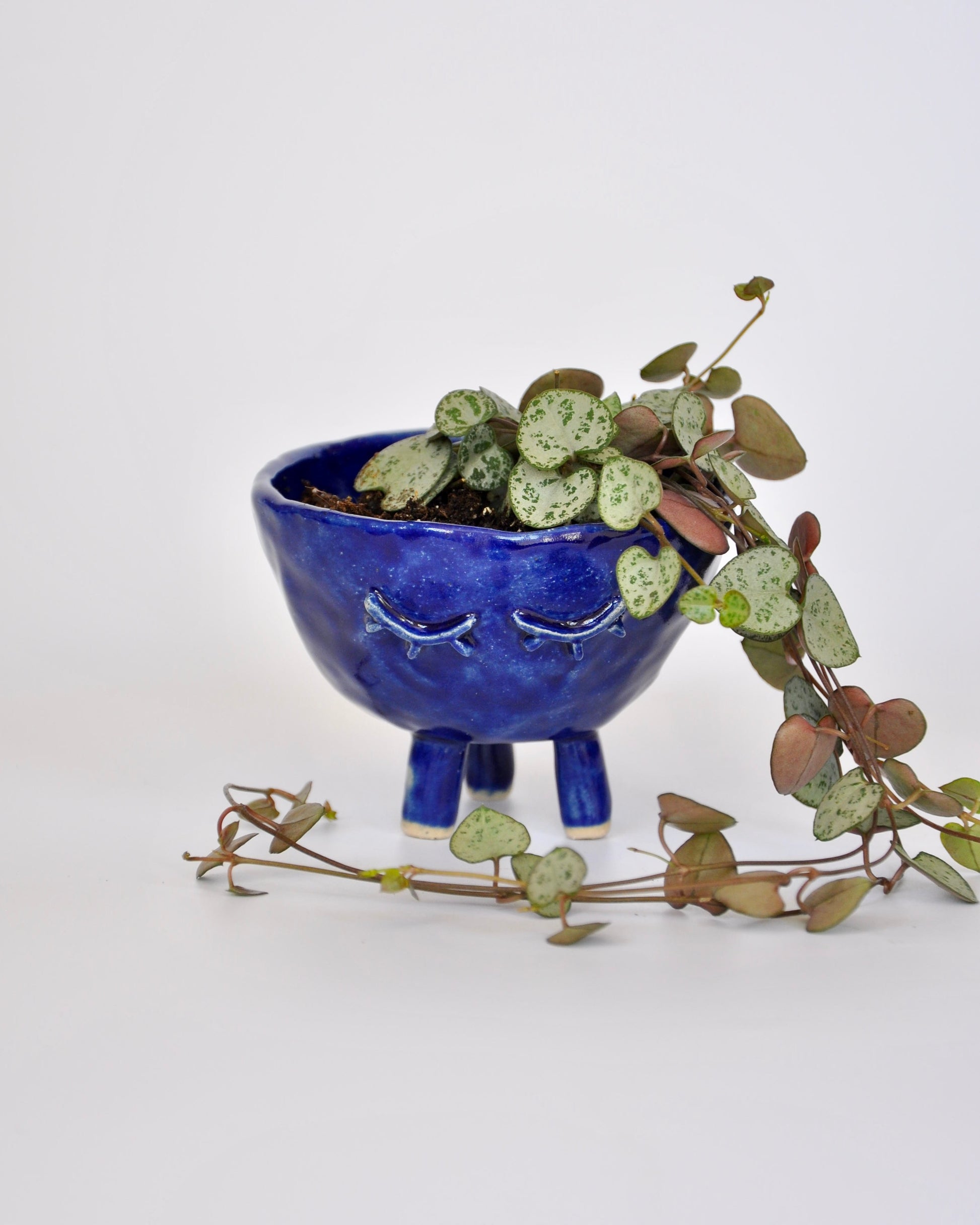 Blue Feet Planter - Medium, handmade stoneware planter with drainage, featuring a cute succulent, blue color.