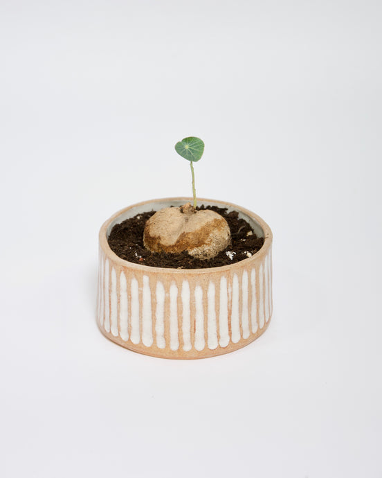 Elisa Ceramics Bricks Planter