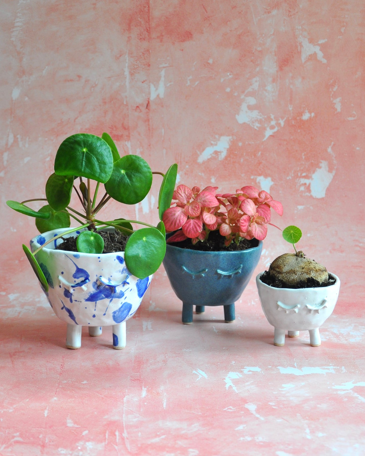 White Feet Planter - Small with colorful succulents in assorted handmade stoneware pots on a textured pink background.