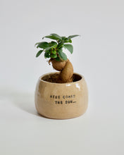 Load image into Gallery viewer, Elisa Ceramics Here Comes The Sun Planter
