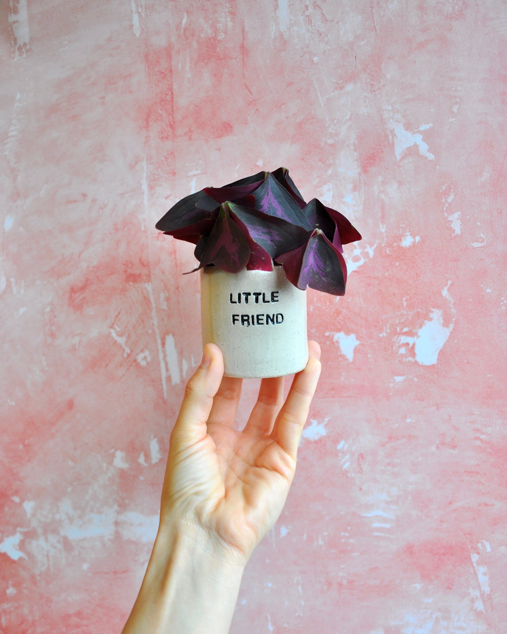 Elisa Ceramics Little Friend Planter