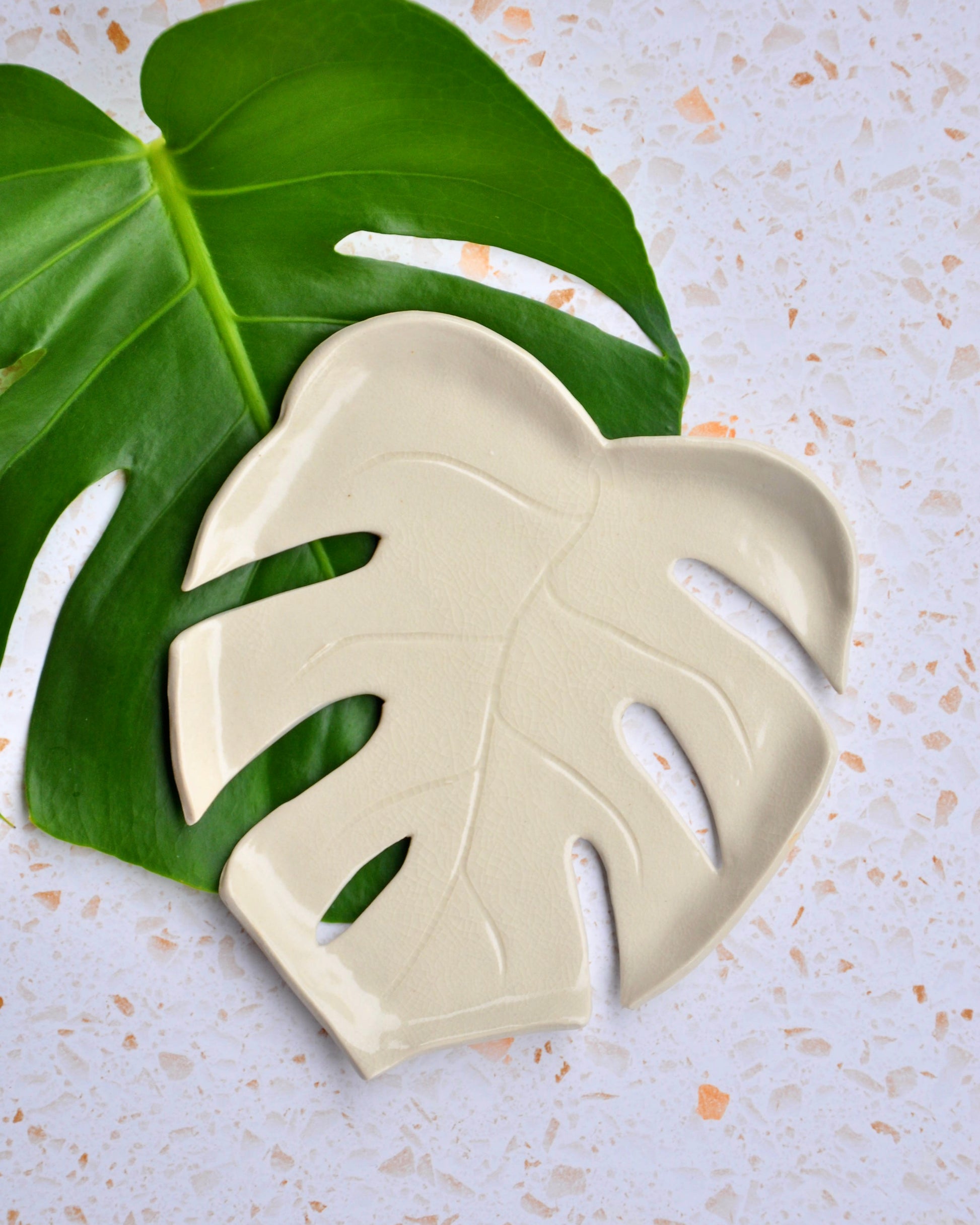Monstera Leaf Plate on a textured background with real Monstera leaves, showcasing the handmade stoneware design.