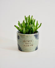 Load image into Gallery viewer, Elisa Ceramics Please Don&#39;t Kill Me Planter
