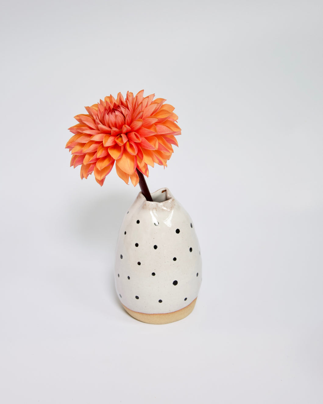 Elisa Ceramics Polkadots Starfish Vase