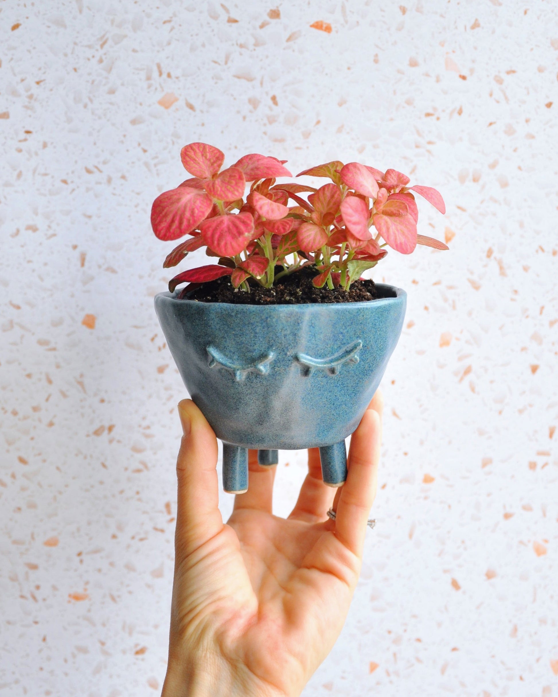 Hand holding a Sand Feet Planter - Medium with pink plants, showcasing its unique handmade design and drainage hole.
