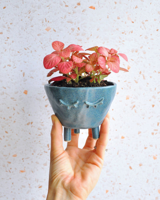 Hand holding a Sand Feet Planter - Medium with pink plants, showcasing its unique handmade design and drainage hole.