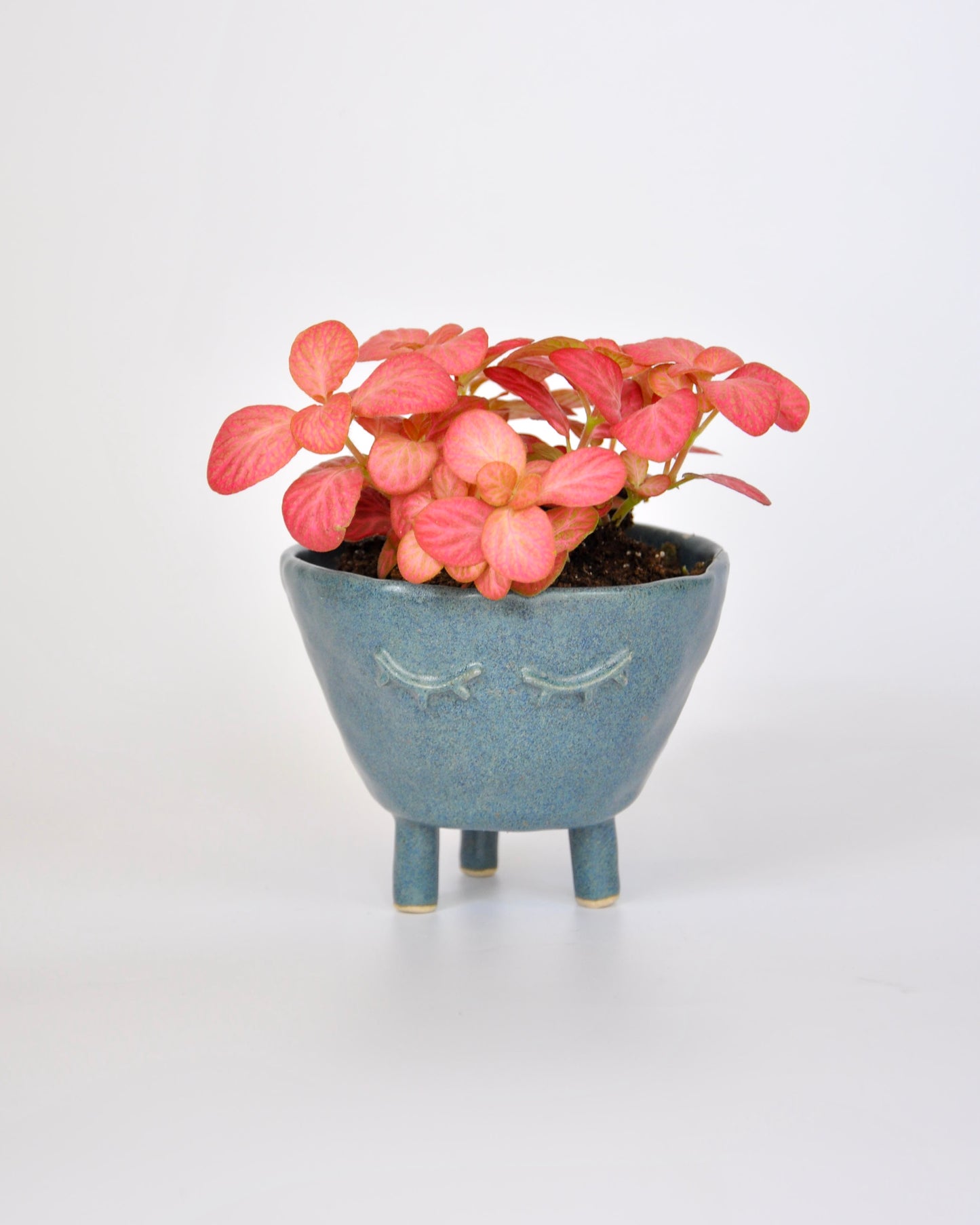 Sand Feet Planter - Medium with pink flowers in a handmade stoneware pot.