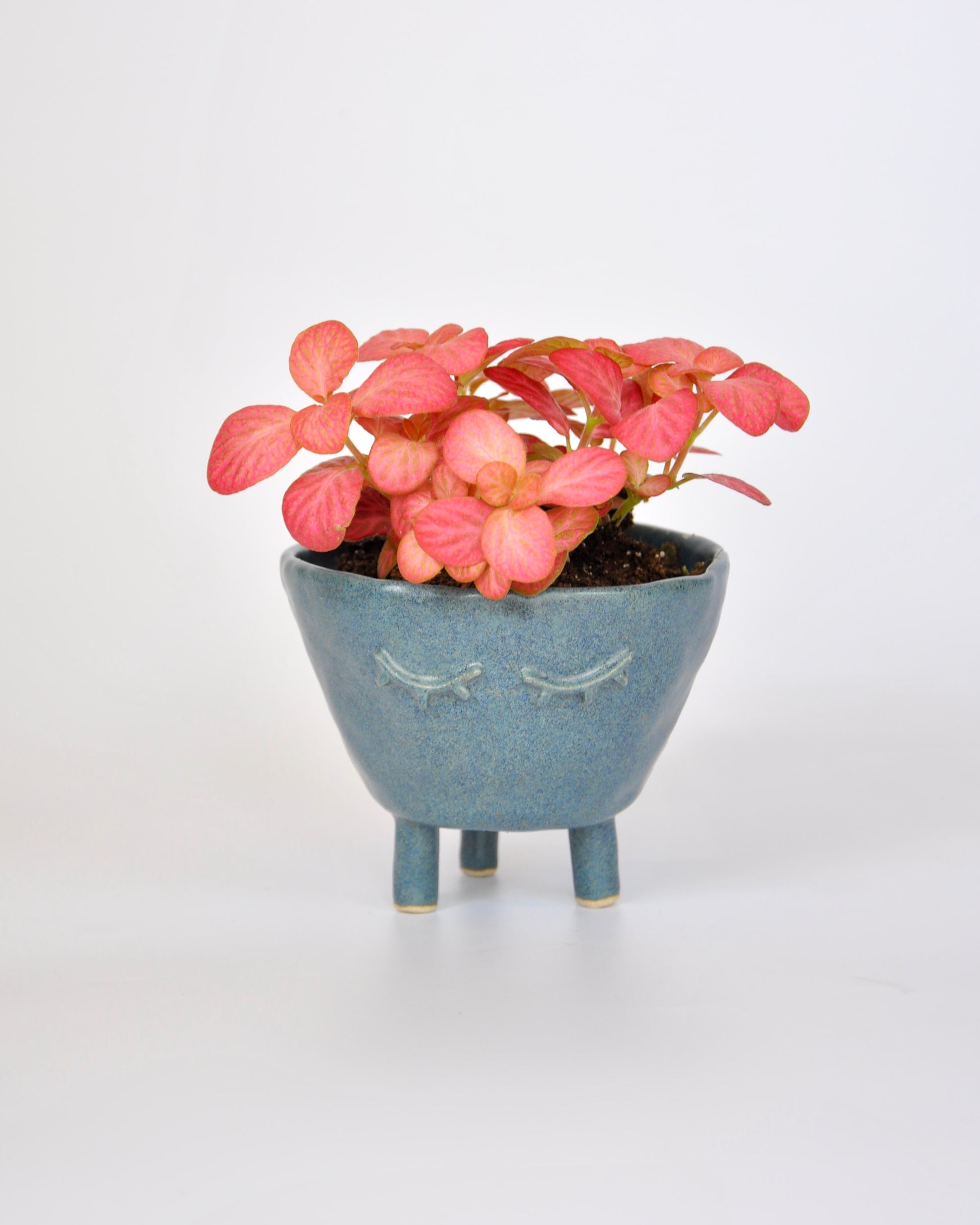 Sand Feet Planter - Medium with pink flowers in a handmade stoneware pot.
