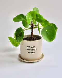 Elisa Ceramics Say Aloe Planter