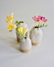 Load image into Gallery viewer, Elisa Ceramics Starfish Flower Vases Set
