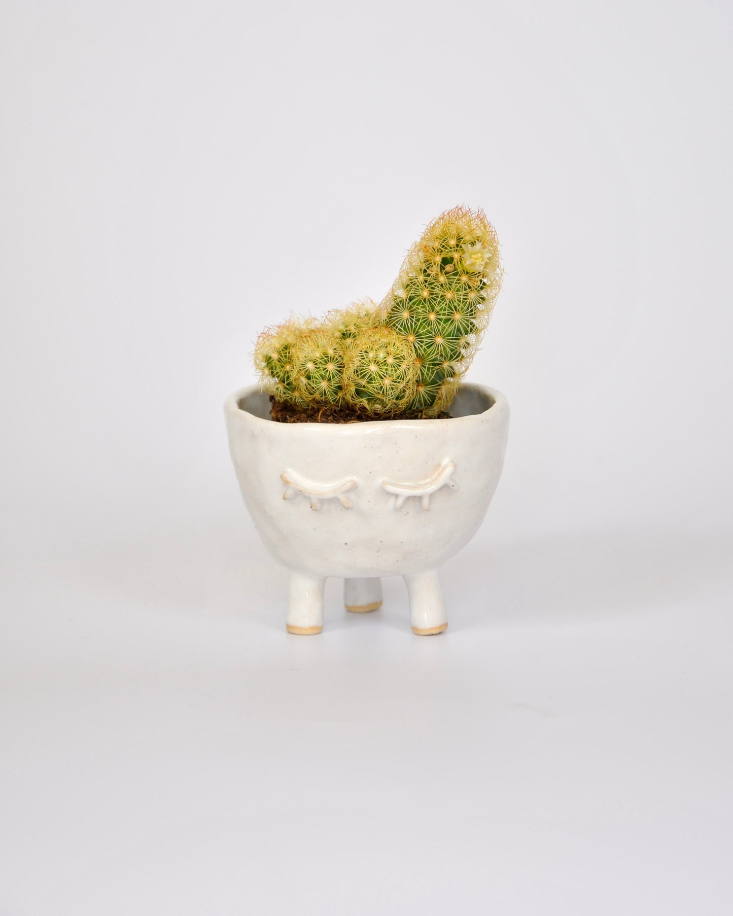White Feet Planter - Small with a cute cactus, handmade stoneware plant pot, perfect for succulent arrangement.