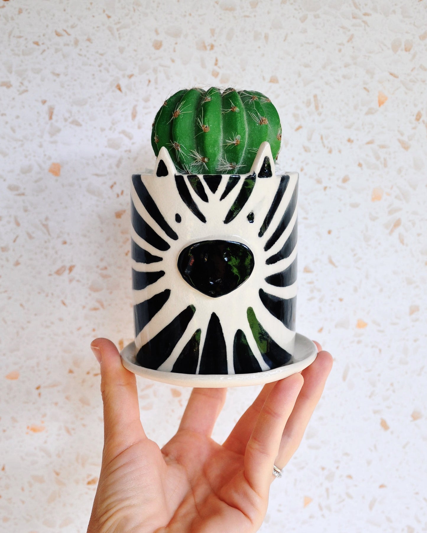Zebra Planter holding a green cactus, handmade stoneware pot with drainage and saucer.