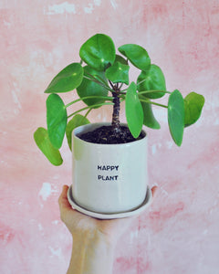 Happy Plant Planter