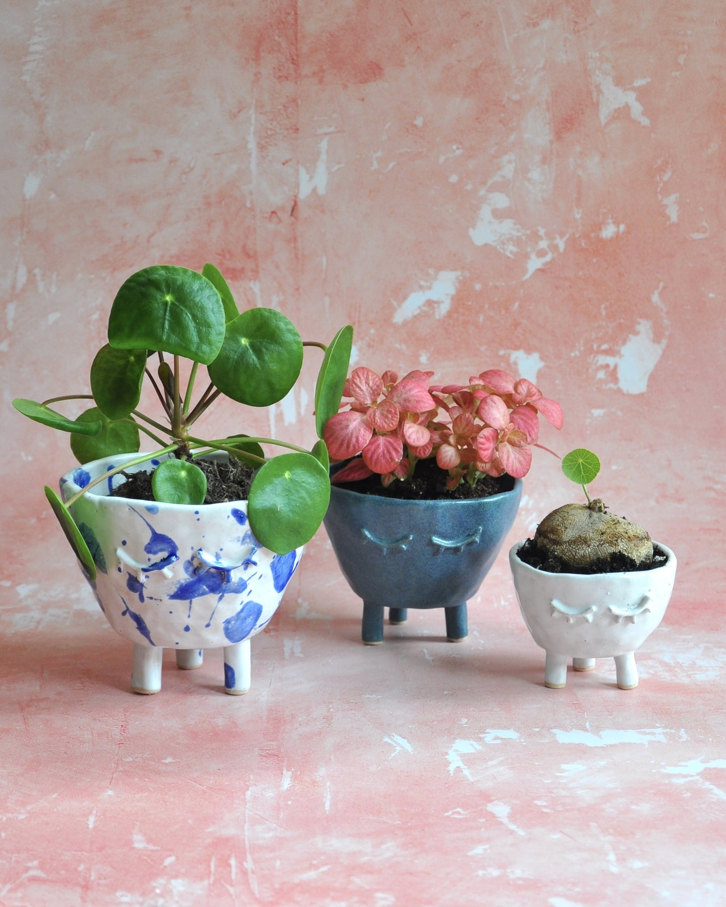 White and Blue Feet Planter - Large with other decorative planters featuring plants on a pink background.