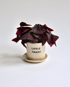Elisa Ceramics Little Friend Planter